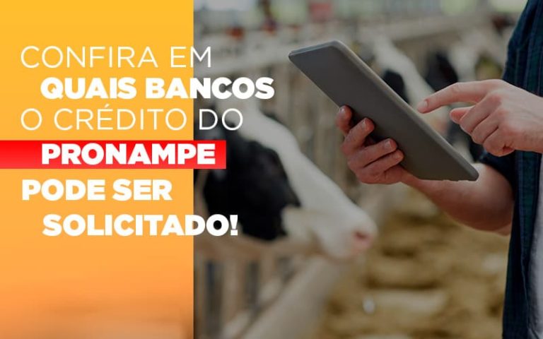 Confira Em Quais Bancos O Credito Pronampe Ja Pode Ser Solicitado - Contabilidade na Bahia - BA | Grupo Orcoma